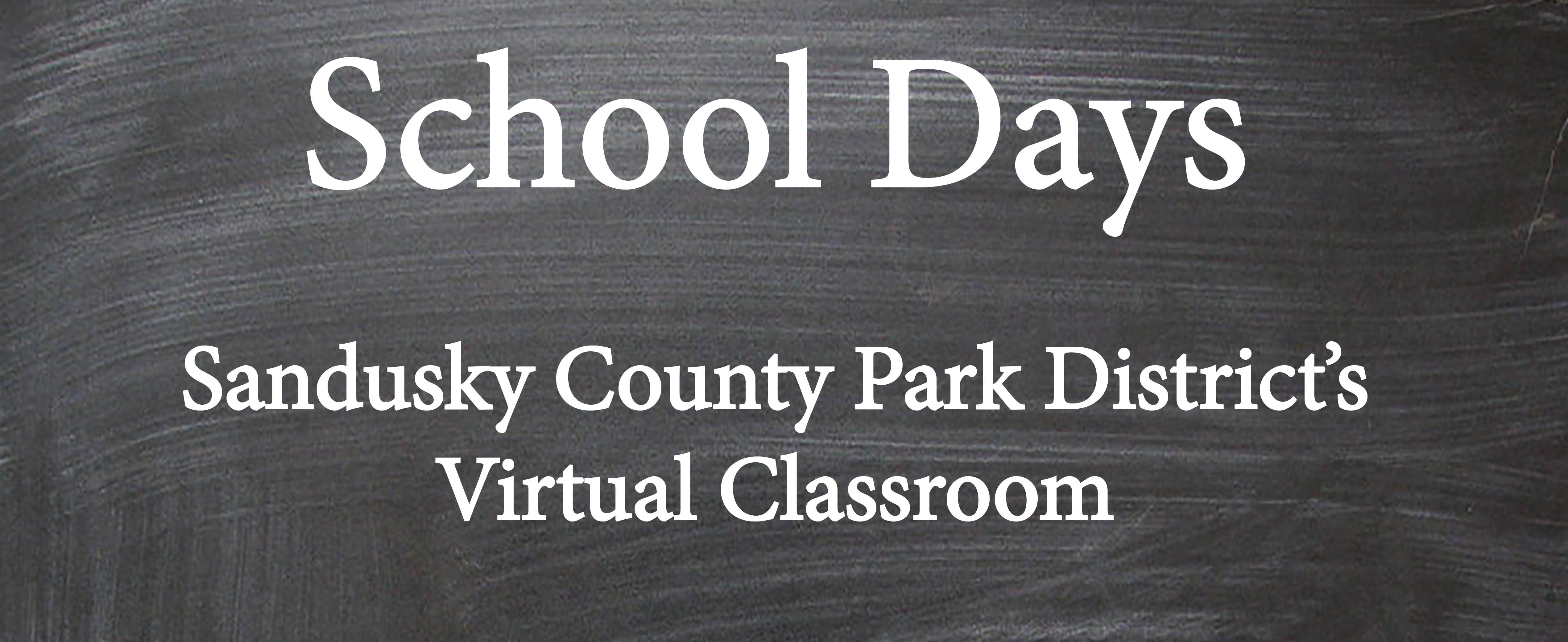 chalkboard for school days virtual programs